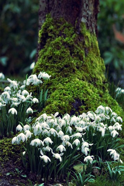 Natusik - Меркантильная суЧность или Сильная Красотка - Бодибилдинг форум AnabolicShops