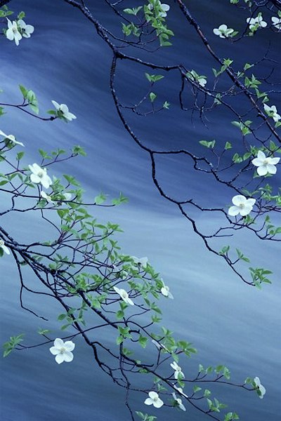 Natusik - Меркантильная суЧность или Сильная Красотка - Бодибилдинг форум AnabolicShops