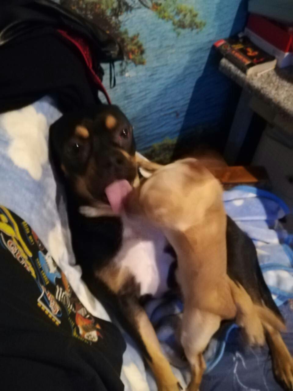 Natusik - Меркантильная суЧность или Сильная Красотка - Бодибилдинг форум AnabolicShops