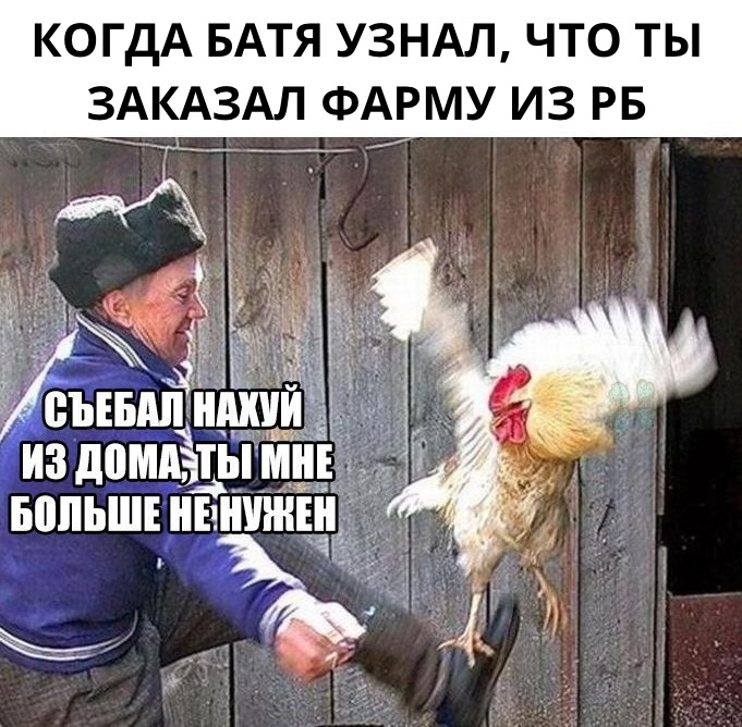 ERGO представляет - Противостояние мемов! - Бодибилдинг форум AnabolicShops