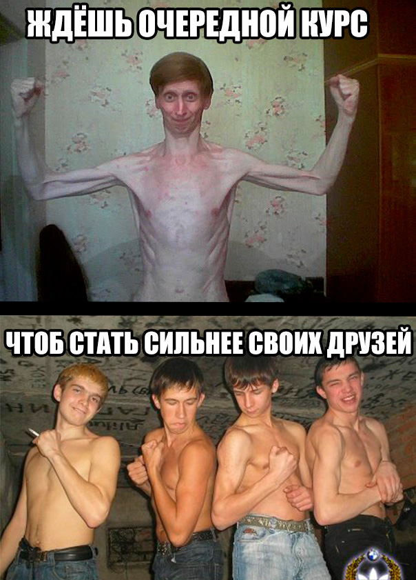 ERGO представляет - Противостояние мемов! - Бодибилдинг форум AnabolicShops