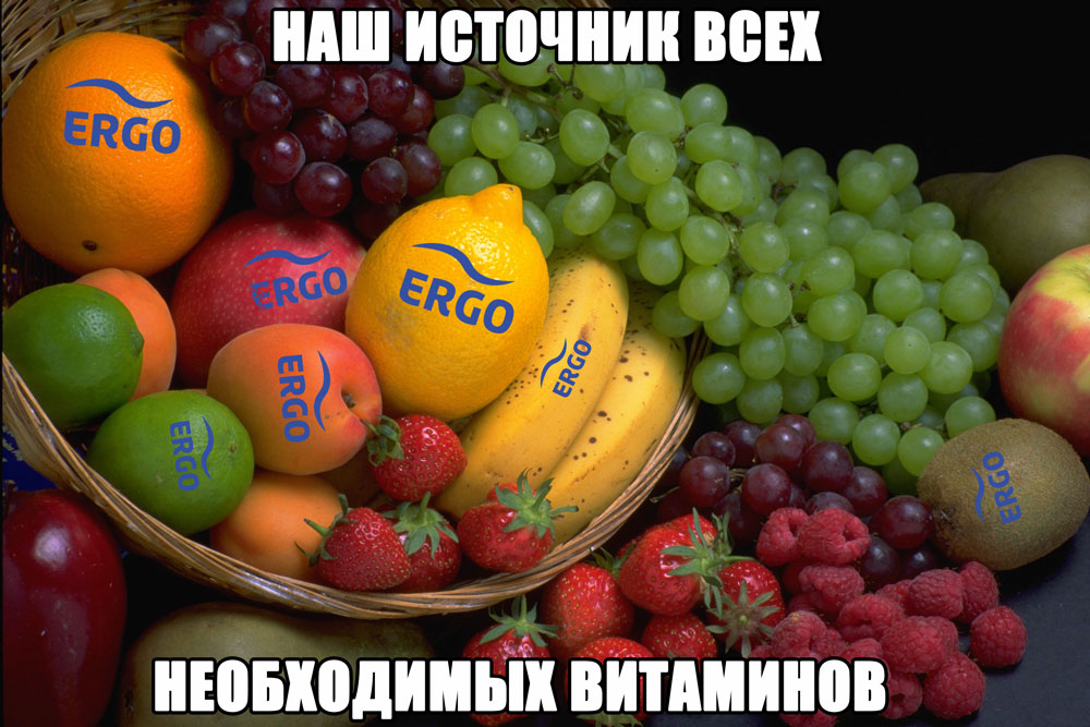 ERGO представляет - Противостояние мемов! - Бодибилдинг форум AnabolicShops