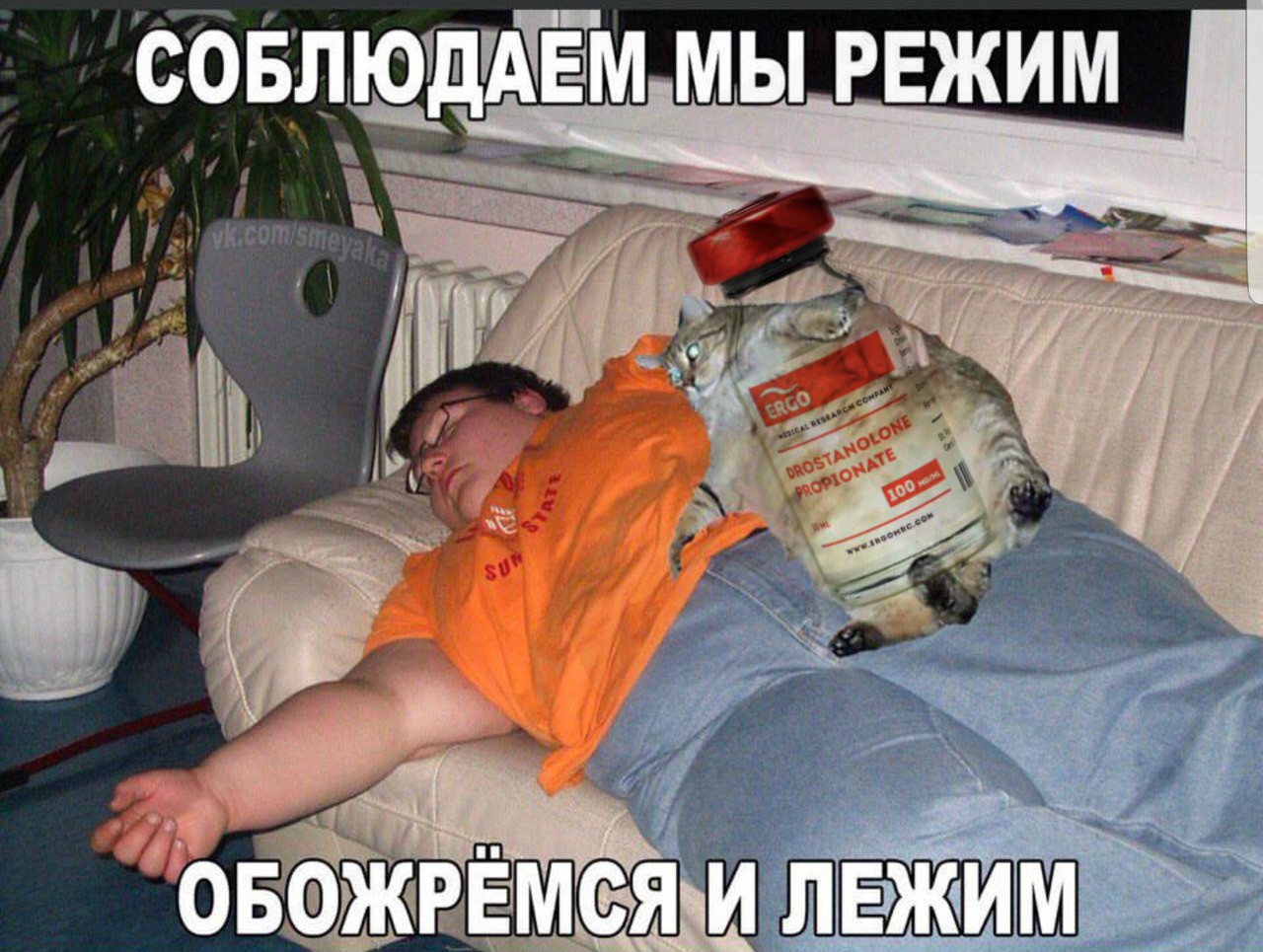 ERGO представляет - Противостояние мемов! - Бодибилдинг форум AnabolicShops