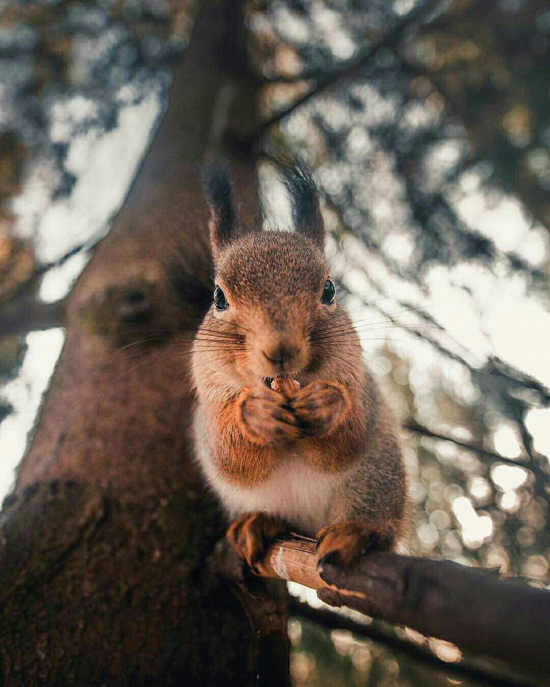 Курилка- разговоры на любые темы - Бодибилдинг форум AnabolicShops