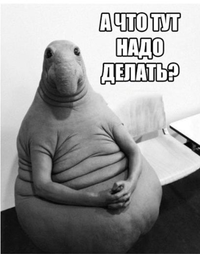 ERGO представляет - Противостояние мемов! - Бодибилдинг форум AnabolicShops