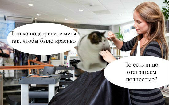 ERGO представляет - Противостояние мемов! - Бодибилдинг форум AnabolicShops