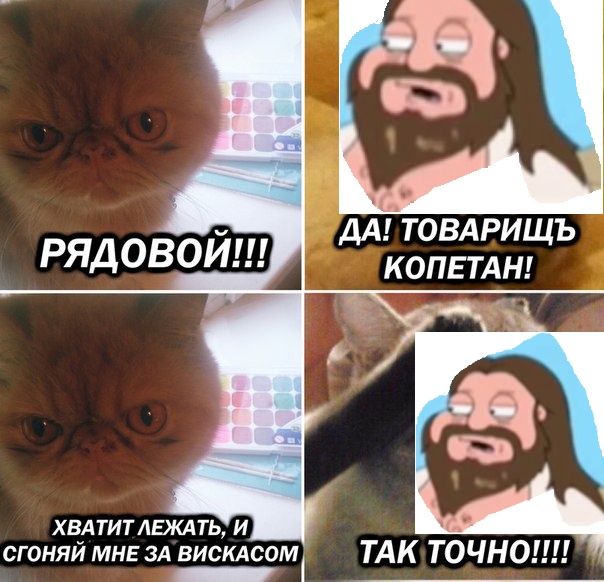 ERGO представляет - Противостояние мемов! - Бодибилдинг форум AnabolicShops