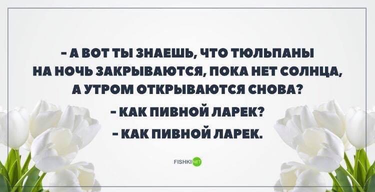 Анекдоты обо всем - Бодибилдинг форум AnabolicShops
