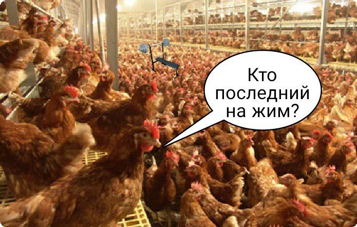 Курилка- разговоры на любые темы - Бодибилдинг форум AnabolicShops