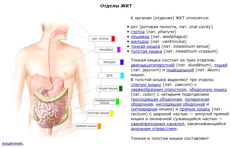Fruitlabs.org   Всегда отличные цены, отменное качество и быстрые отправки ! - Бодибилдинг форум AnabolicShops