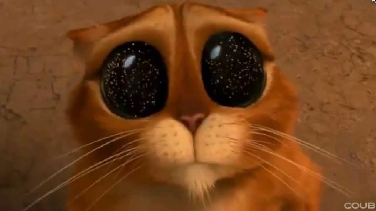 Sterostore.xyz -  Магазин низких цен. - Бодибилдинг форум AnabolicShops