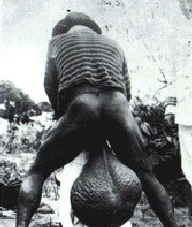 Sterostore.xyz -  Магазин низких цен. - Бодибилдинг форум AnabolicShops