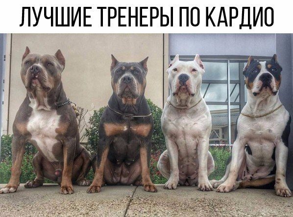 Курилка- разговоры на любые темы - Бодибилдинг форум AnabolicShops