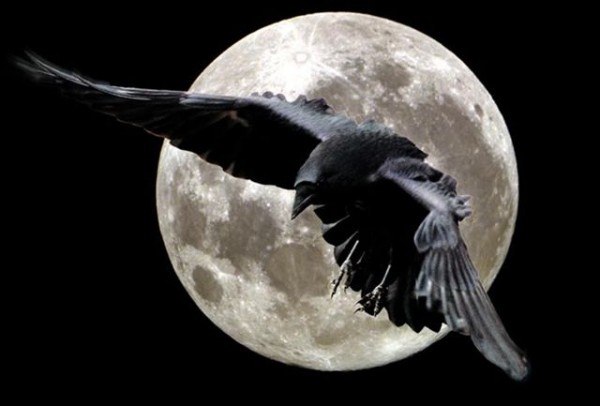 Natusik - Меркантильная суЧность или Сильная Красотка - Бодибилдинг форум AnabolicShops