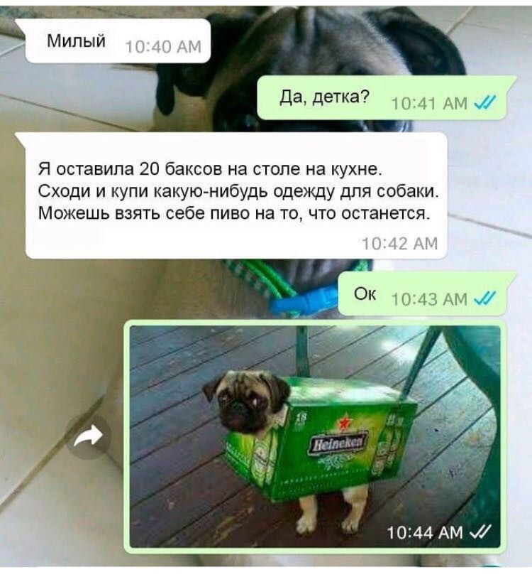 Курилка- разговоры на любые темы - Бодибилдинг форум AnabolicShops