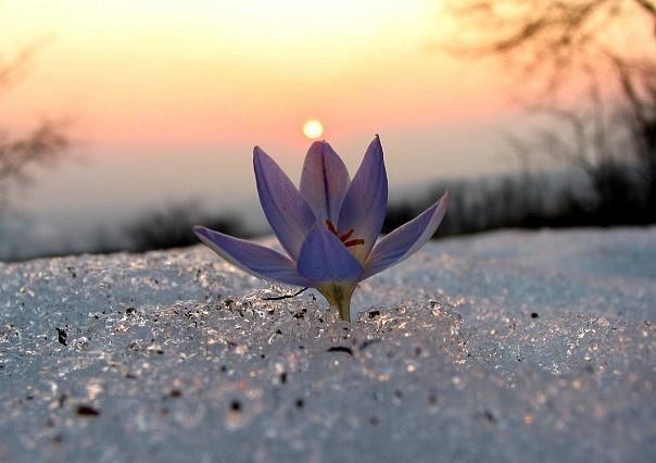 Natusik - Меркантильная суЧность или Сильная Красотка - Бодибилдинг форум AnabolicShops