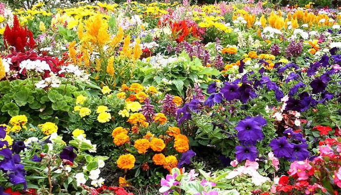 Sterostore.xyz -  Магазин низких цен. - Бодибилдинг форум AnabolicShops