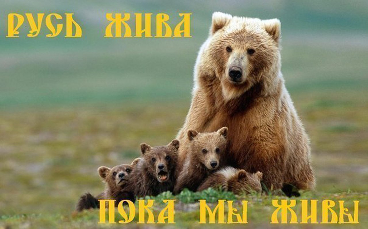 Трансформация духа ..Второе дыхание. . - Бодибилдинг форум AnabolicShops