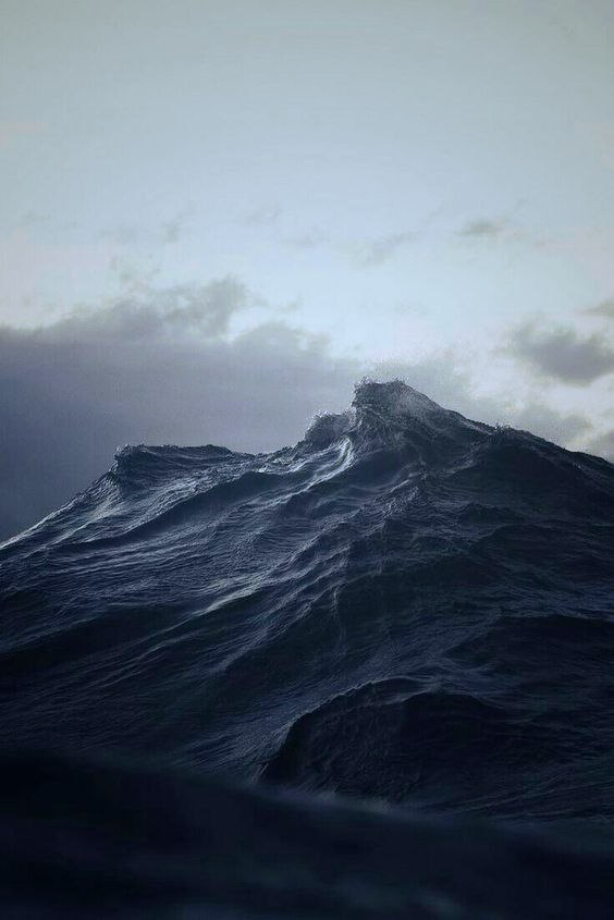 Natusik - Меркантильная суЧность или Сильная Красотка - Бодибилдинг форум AnabolicShops