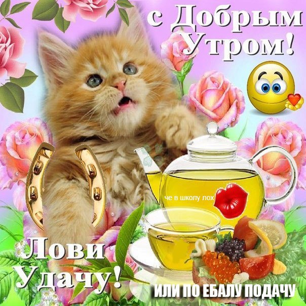 Пляжник за 5 недель - Бодибилдинг форум AnabolicShops