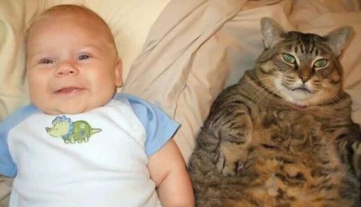 Курилка- разговоры на любые темы - Бодибилдинг форум AnabolicShops