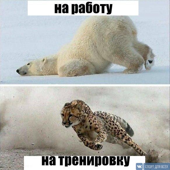 Farma-sklad надежный магазин - Бодибилдинг форум AnabolicShops