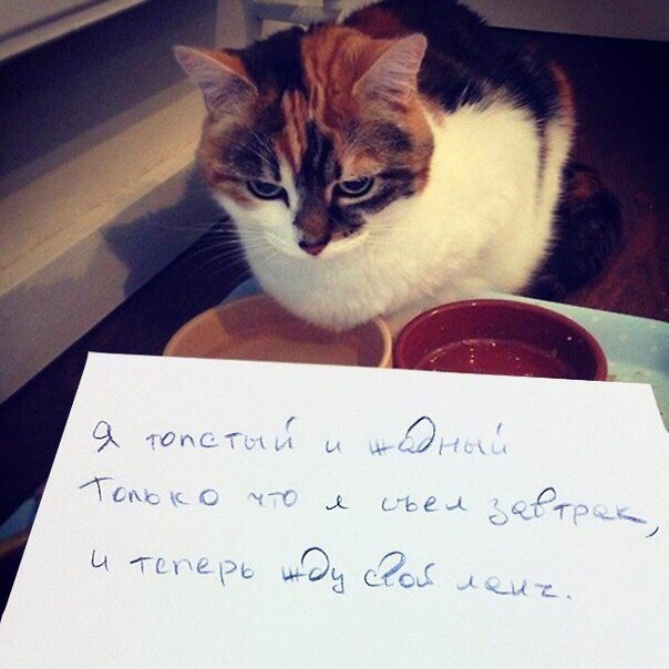 Курилка- разговоры на любые темы - Бодибилдинг форум AnabolicShops