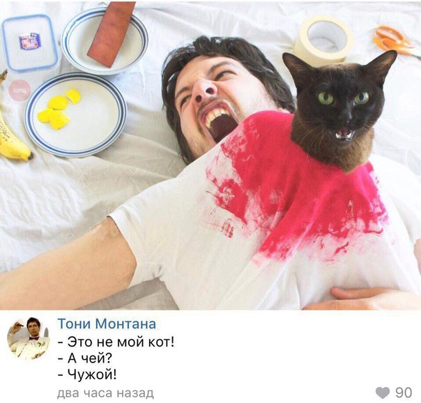 Курилка- разговоры на любые темы - Бодибилдинг форум AnabolicShops