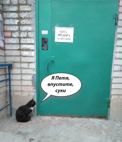 Курилка- разговоры на любые темы - Бодибилдинг форум AnabolicShops