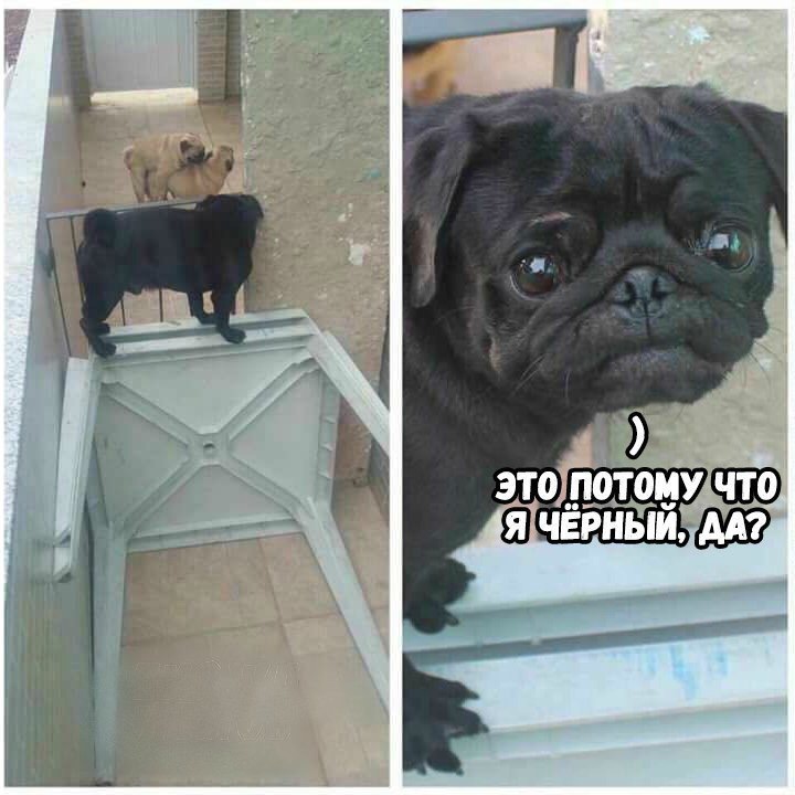 Курилка- разговоры на любые темы - Бодибилдинг форум AnabolicShops