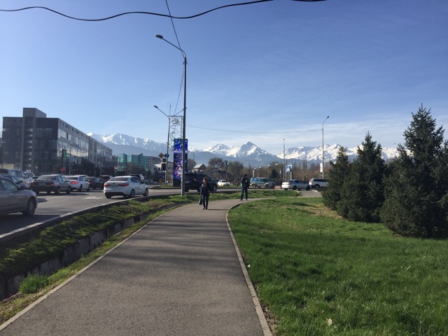 IndiaGenericPower- магазин ПКТ! - Бодибилдинг форум AnabolicShops