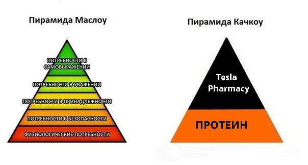 TeslaShop.biz - Бодибилдинг форум AnabolicShops