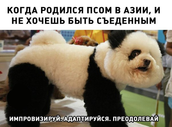 Курилка- разговоры на любые темы - Бодибилдинг форум AnabolicShops