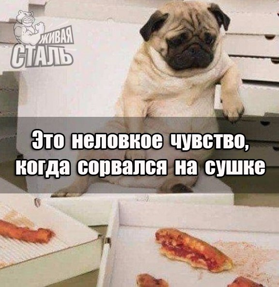 Курилка- разговоры на любые темы - Бодибилдинг форум AnabolicShops