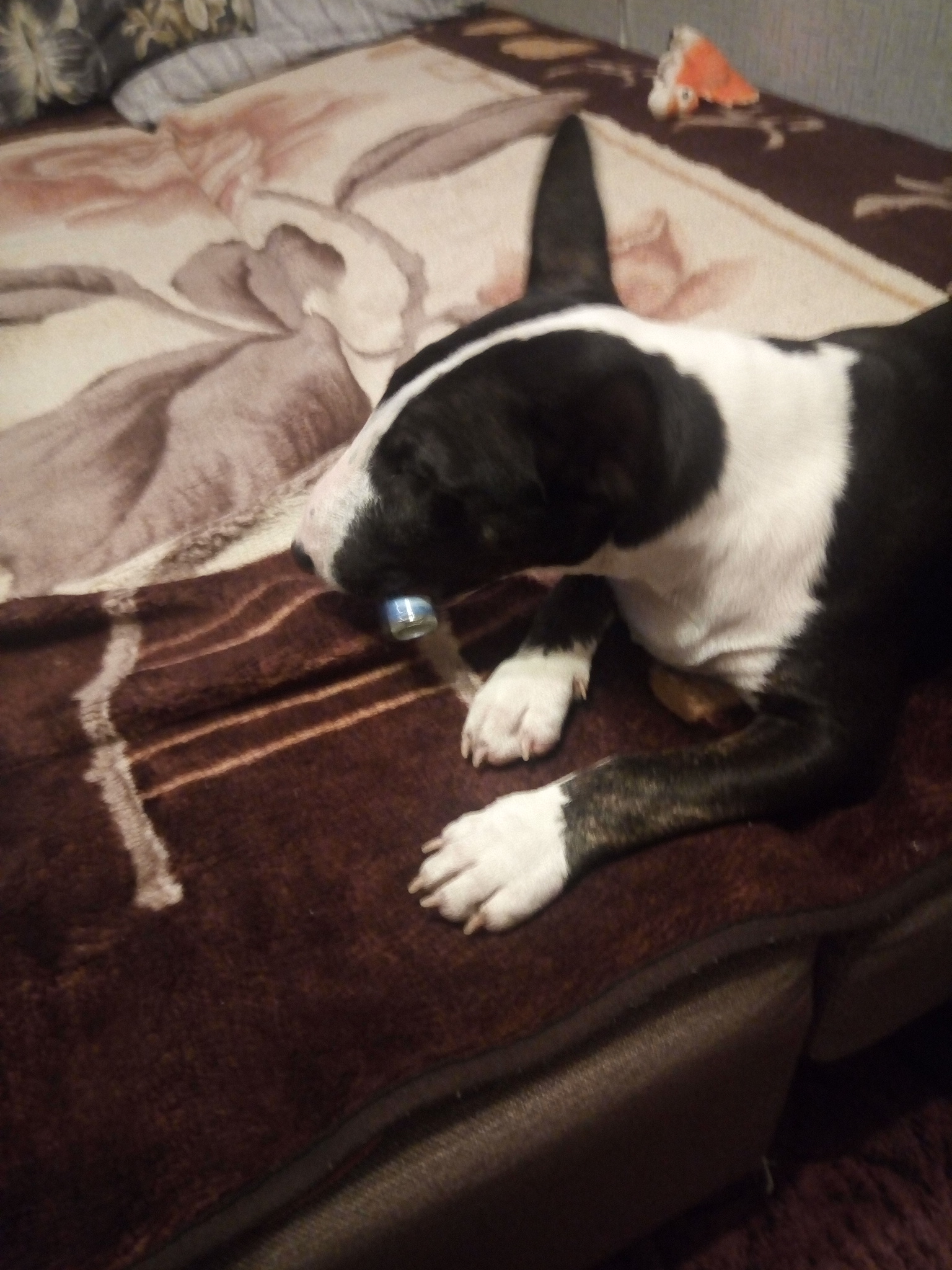 Homosteron.com оф.дилер Zphc|CanadaPeptides|Ergo Mrc - Бодибилдинг форум AnabolicShops