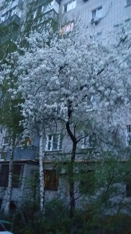 Лаборатория Массы - Бодибилдинг форум AnabolicShops