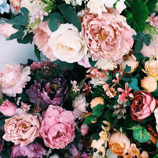 Natusik - Меркантильная суЧность или Сильная Красотка - Бодибилдинг форум AnabolicShops