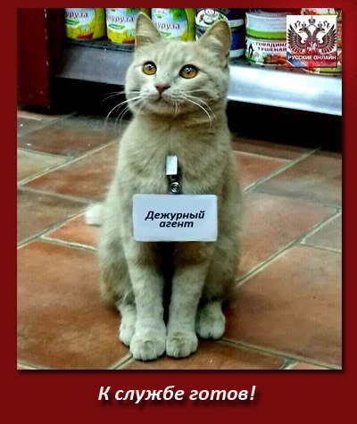 Анекдоты обо всем - Бодибилдинг форум AnabolicShops