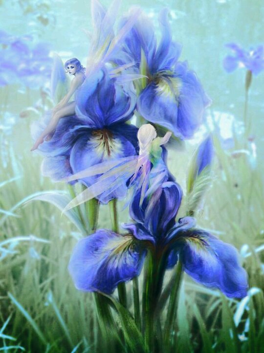 Опрос для жителей Питера. - Бодибилдинг форум AnabolicShops