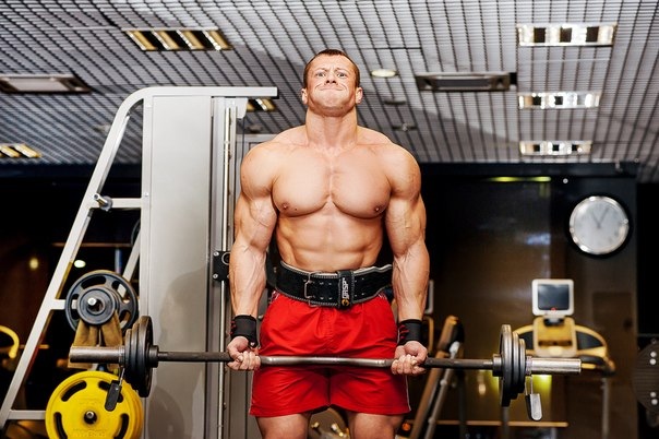 Тренировка рук для новичков - Бодибилдинг форум AnabolicShops