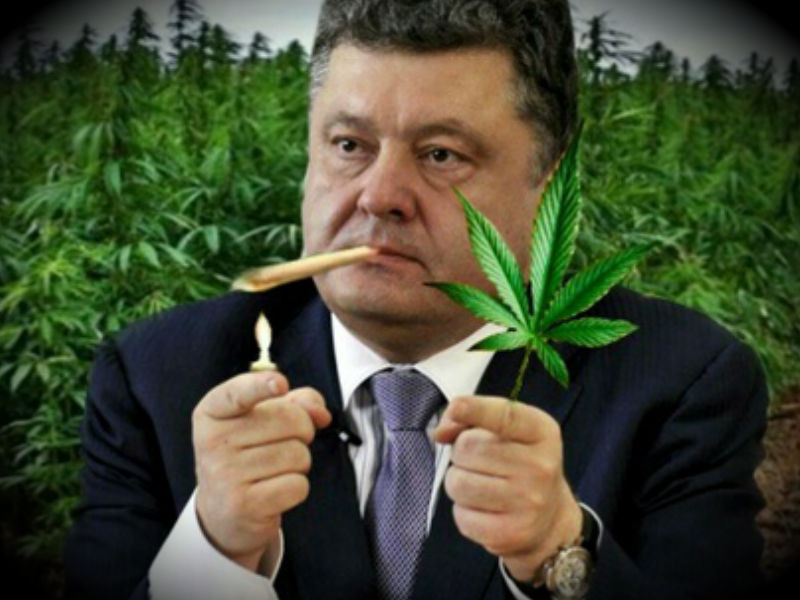 Farma-sklad надежный магазин - Бодибилдинг форум AnabolicShops