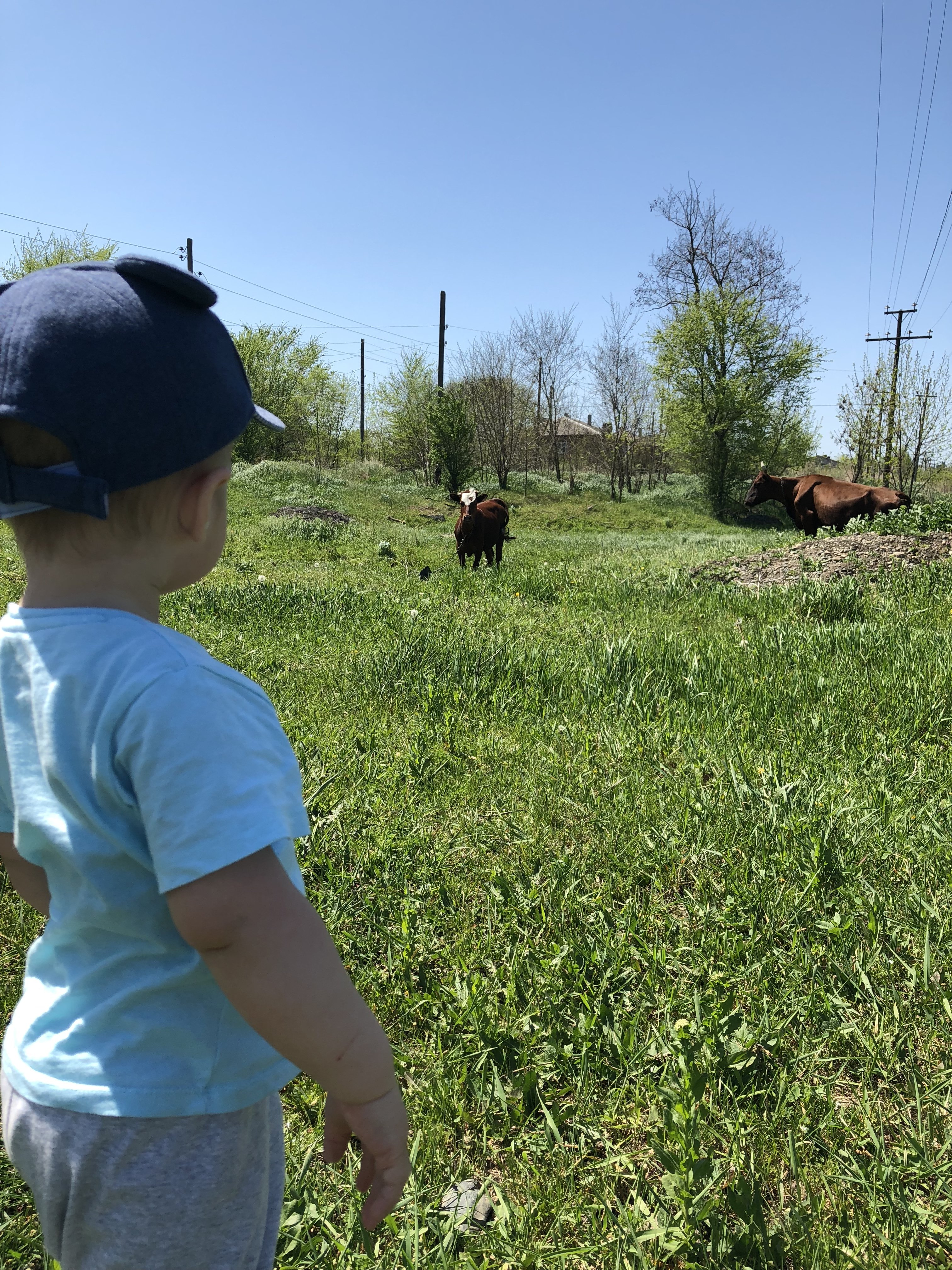 Sterostore.xyz -  Магазин низких цен. - Бодибилдинг форум AnabolicShops
