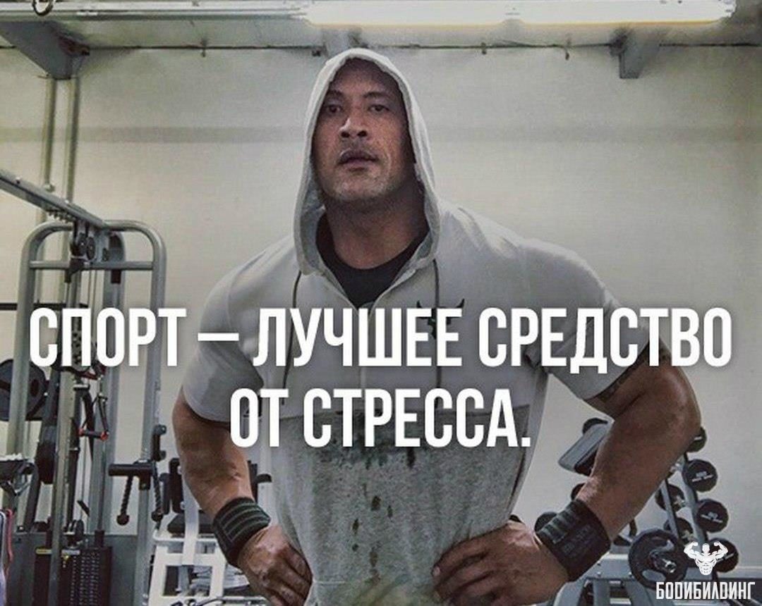 Sterostore.xyz -  Магазин низких цен. - Бодибилдинг форум AnabolicShops