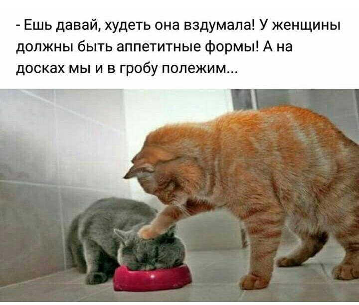 Курилка- разговоры на любые темы - Бодибилдинг форум AnabolicShops