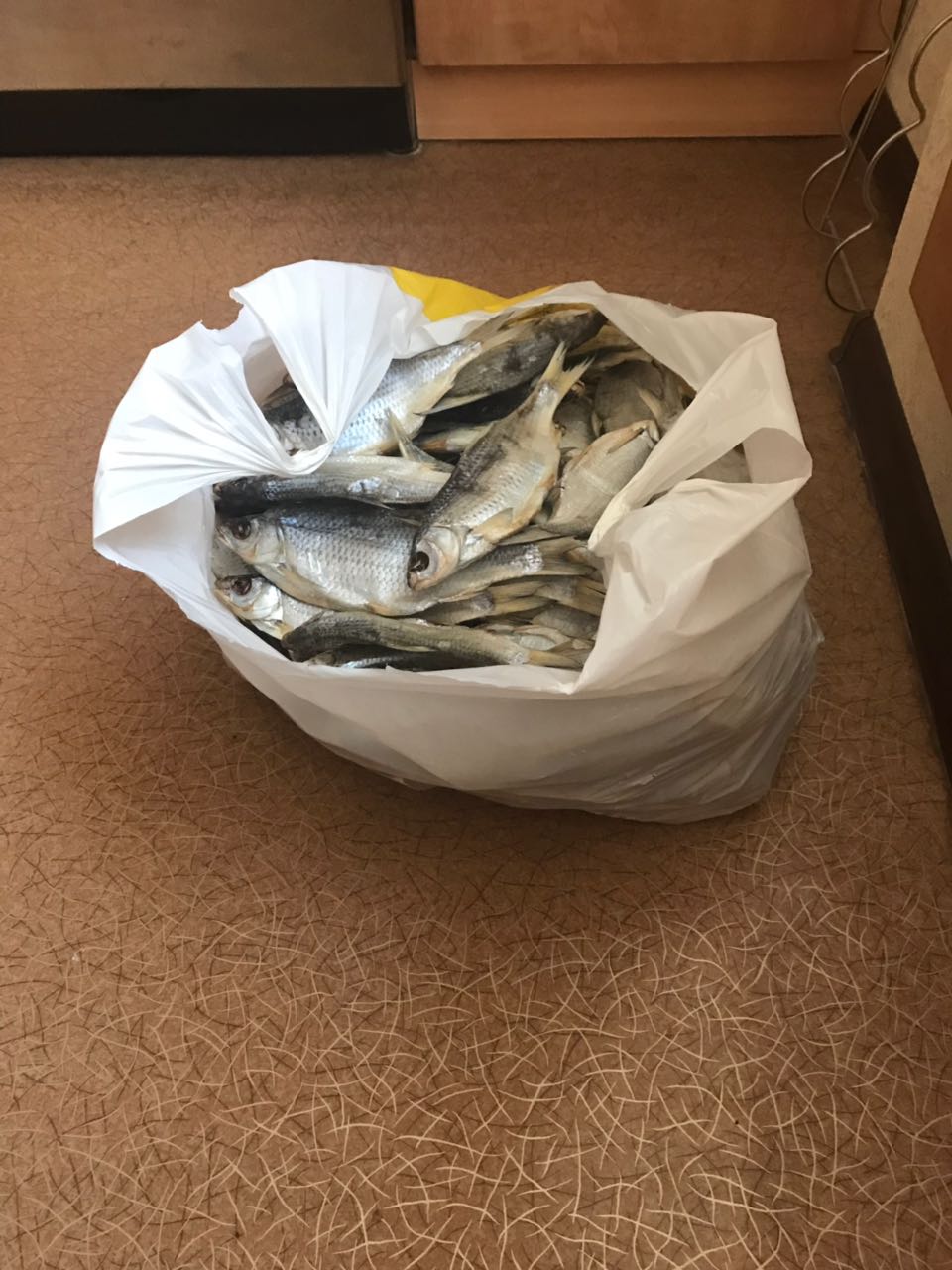 Nakachen.biz - сайт низких цен ! - Бодибилдинг форум AnabolicShops