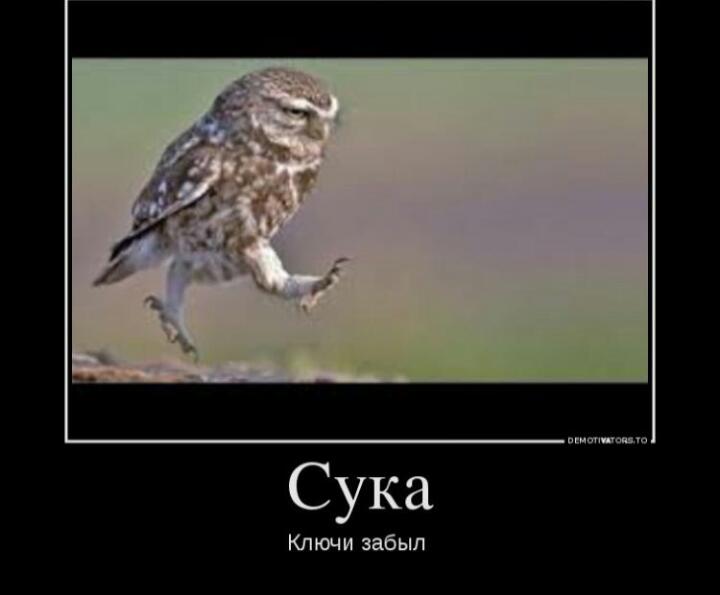 Курилка- разговоры на любые темы - Бодибилдинг форум AnabolicShops