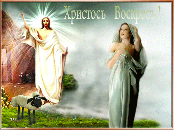 Farmalend.com - Бодибилдинг форум AnabolicShops