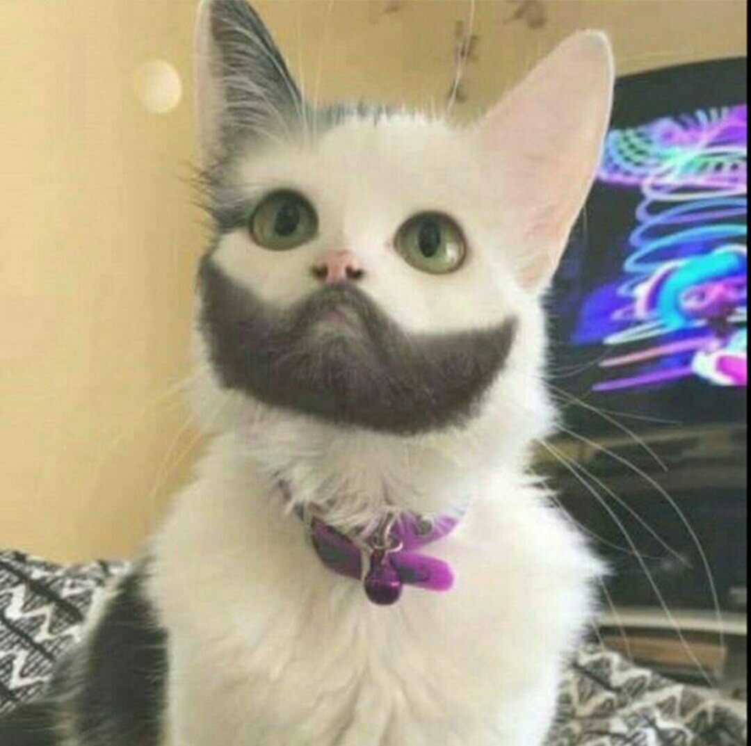 Курилка- разговоры на любые темы - Бодибилдинг форум AnabolicShops