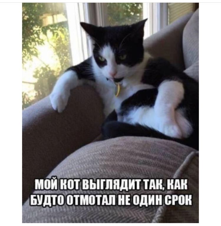 Курилка- разговоры на любые темы - Бодибилдинг форум AnabolicShops