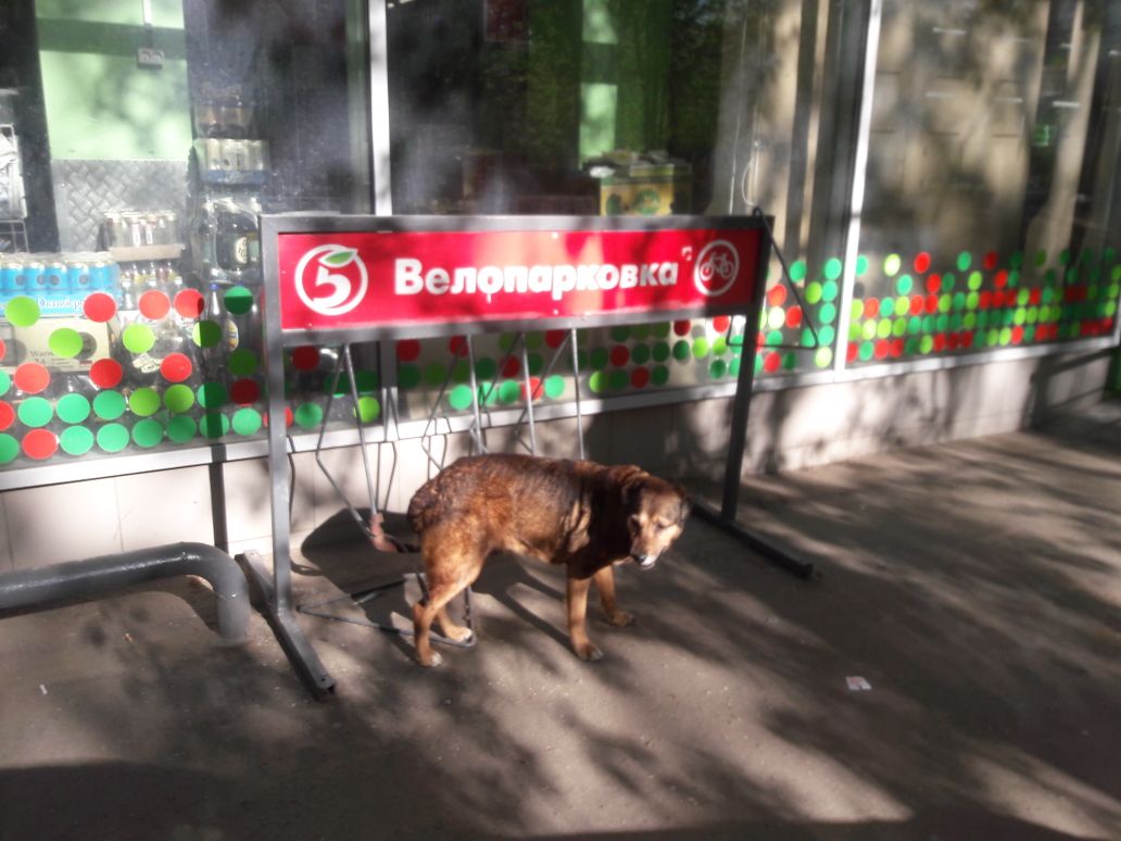 Курилка- разговоры на любые темы - Бодибилдинг форум AnabolicShops